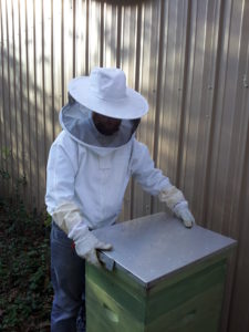 Closing Bee Hive